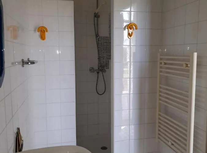 & Chateau Saint Vincent Bed & Breakfast Bazas